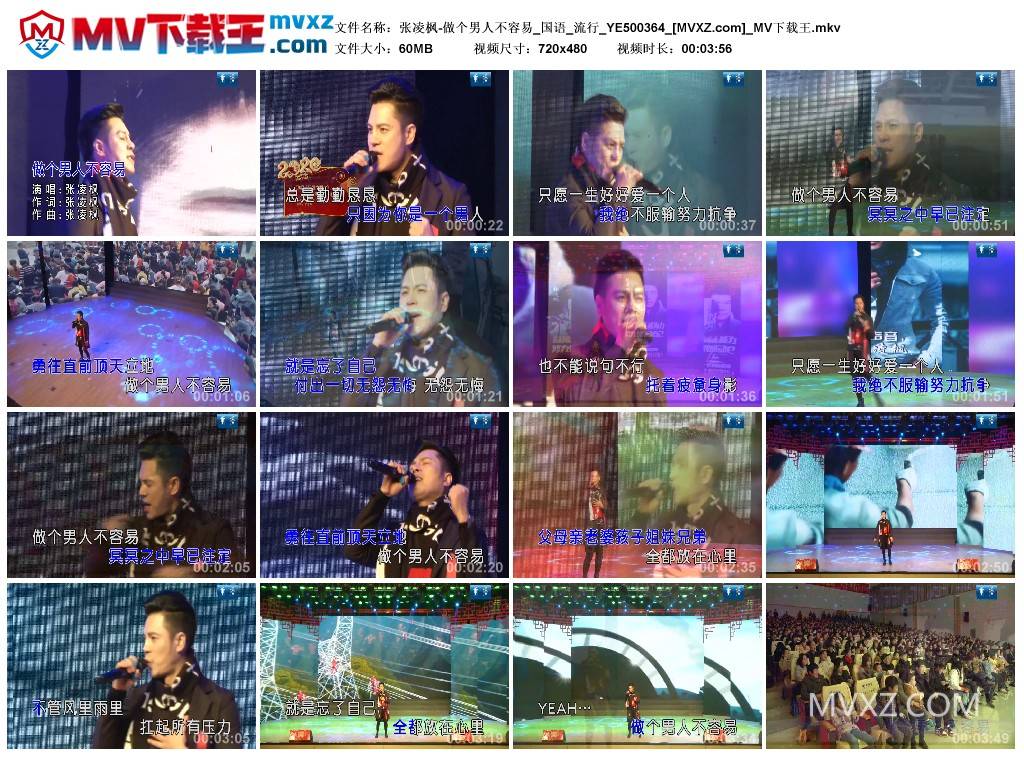 张凌枫-做个男人不容易_国语_流行_YE500364